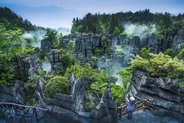 f6955e3e4fff8448154e4df0c2ca7894-sz_66275