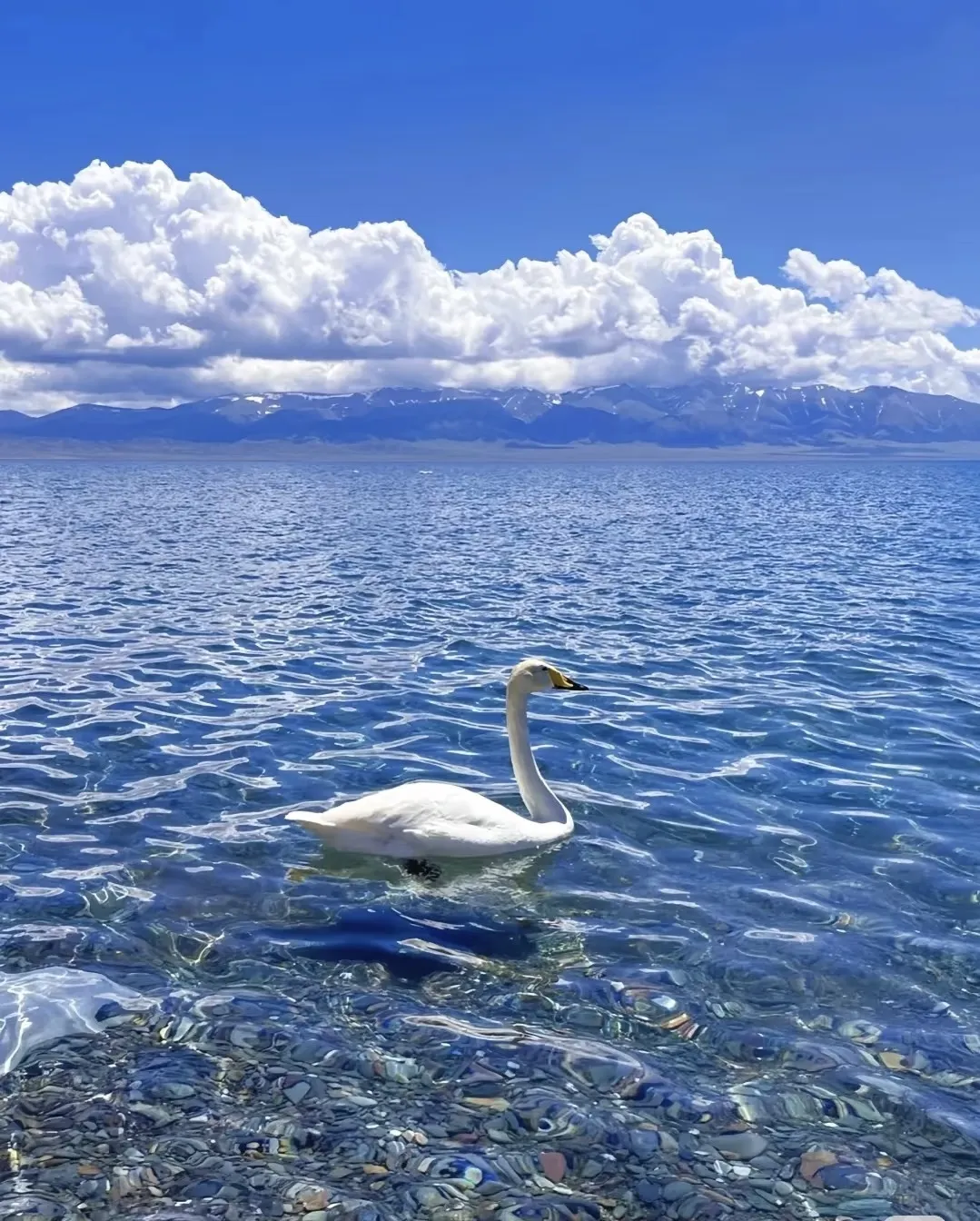 f717400686dfe147f8d439273002357a-sz_491271