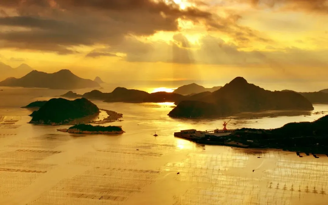 f7663d2d5af8e82e11ff5541eca5cb74-sz_77489