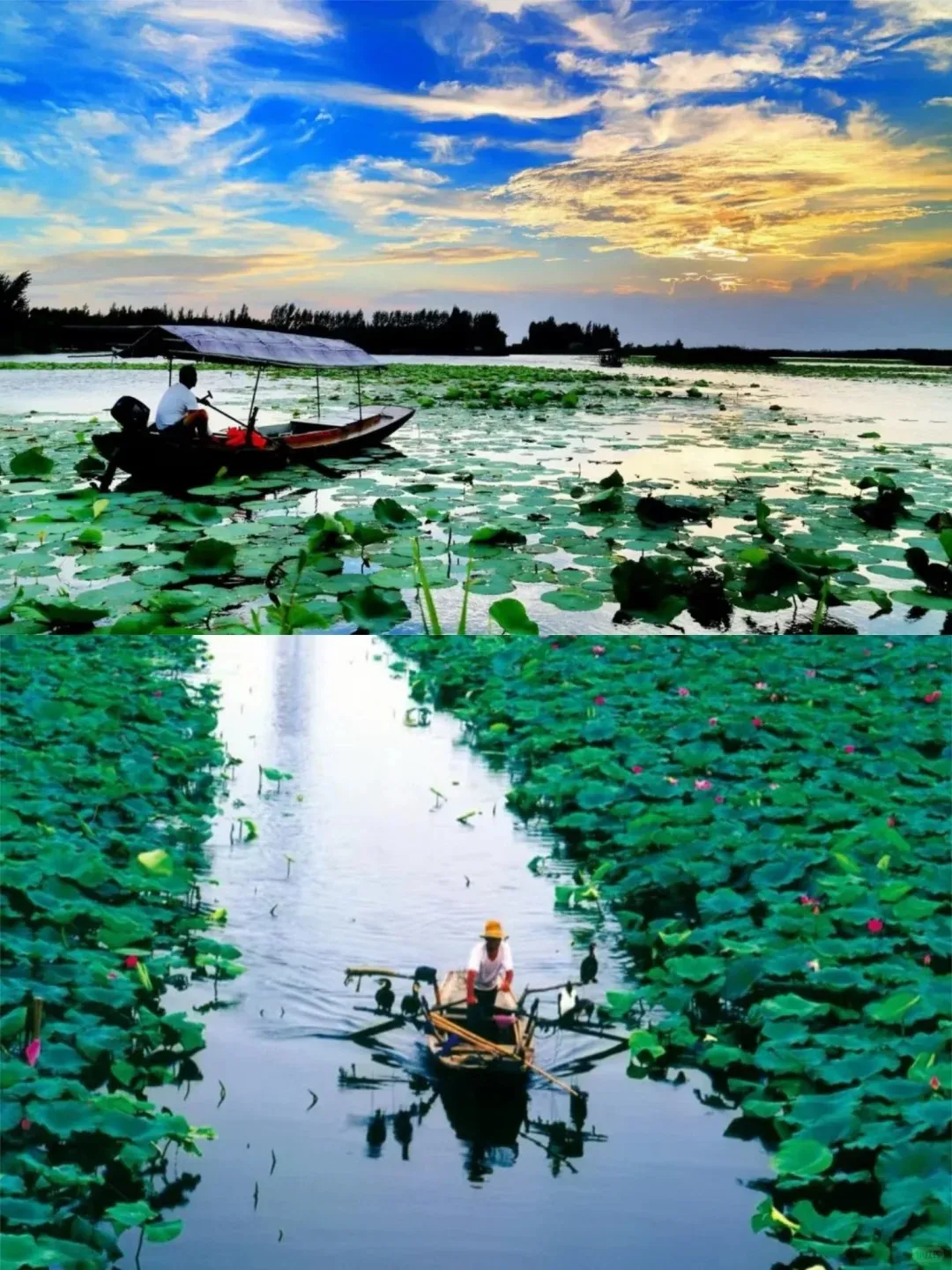 f7a097341e38e77ede3396cf757a60dd-sz_388360