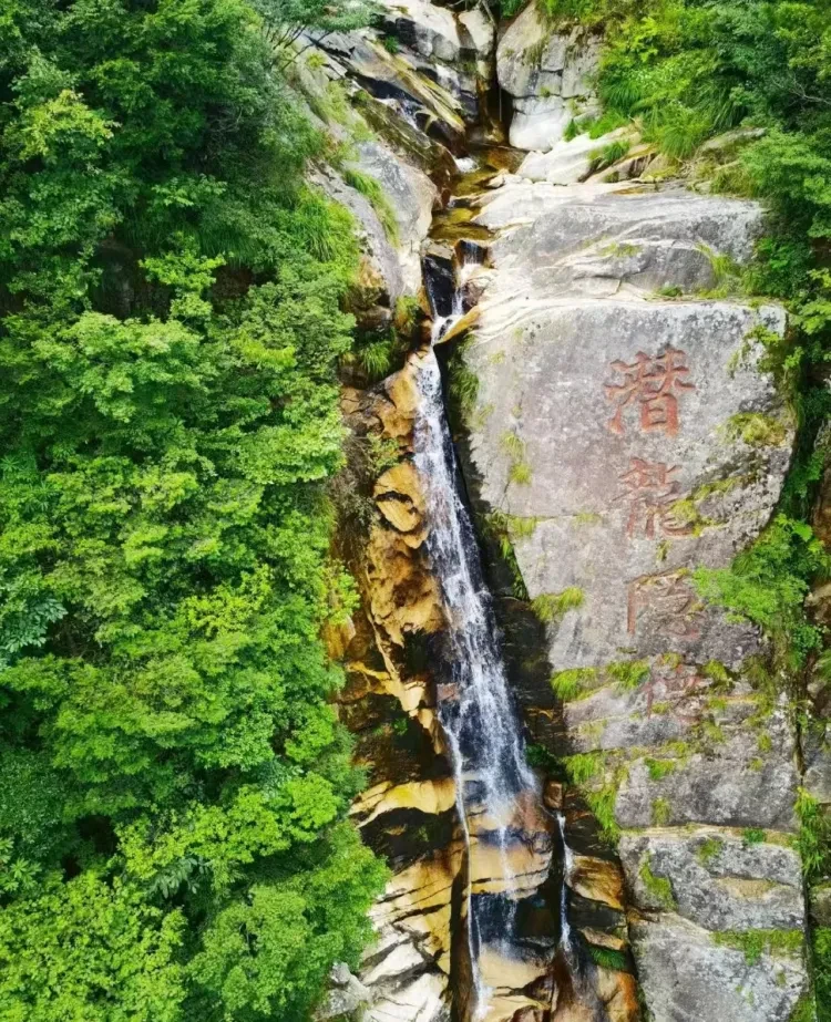 f8893f16eb81946e19ae773f4bee8b56-sz_1804443