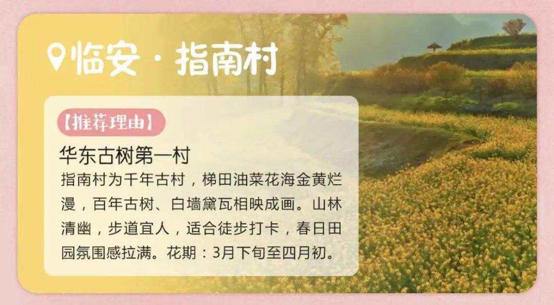 f8bf15d08dd0b646134a5c7d8c33dcfc-sz_99200-2