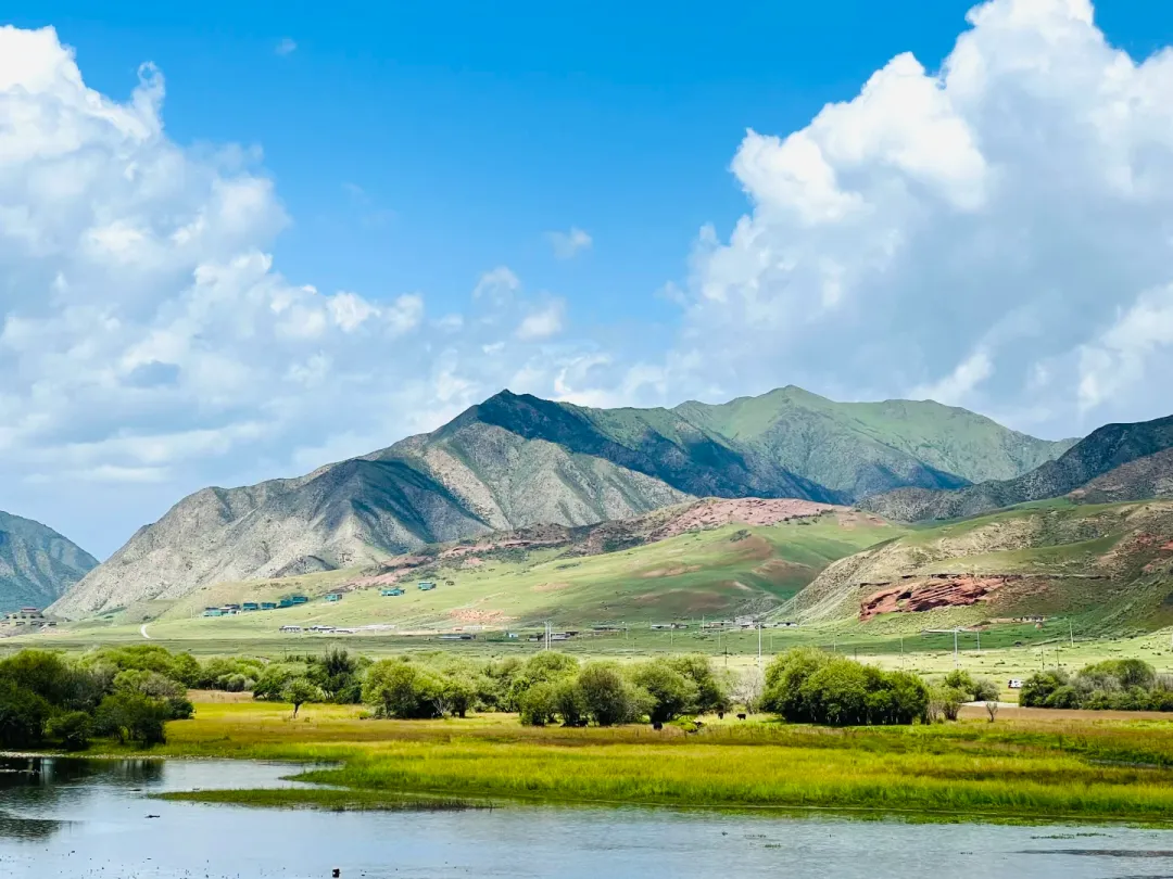 f8c457ae4ed6e75ce83d368133f458ab-sz_2455839