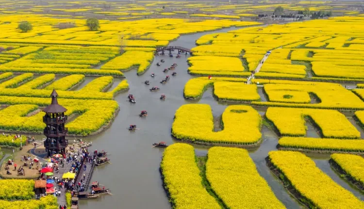 f8cc59e5c1e40612c46e3e9e9edbb0fd-sz_192047