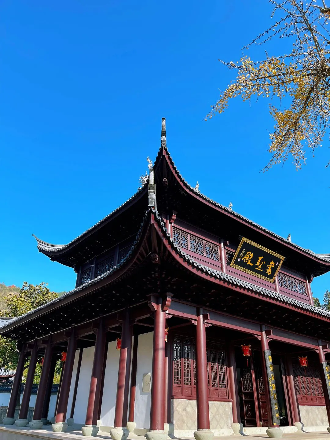 f8f97ae1beeb113934298c6d4c854262-sz_1826806