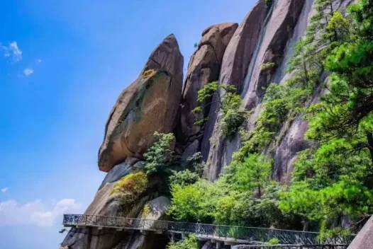 f95e3d36f3559101c1026c61afe8354b-sz_463209