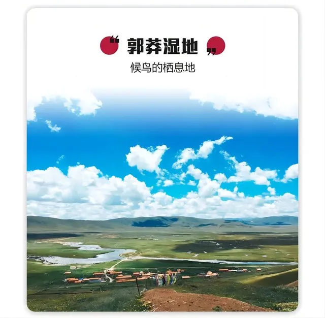 f995080ddf223e2e343d8984973c57c9-sz_78921