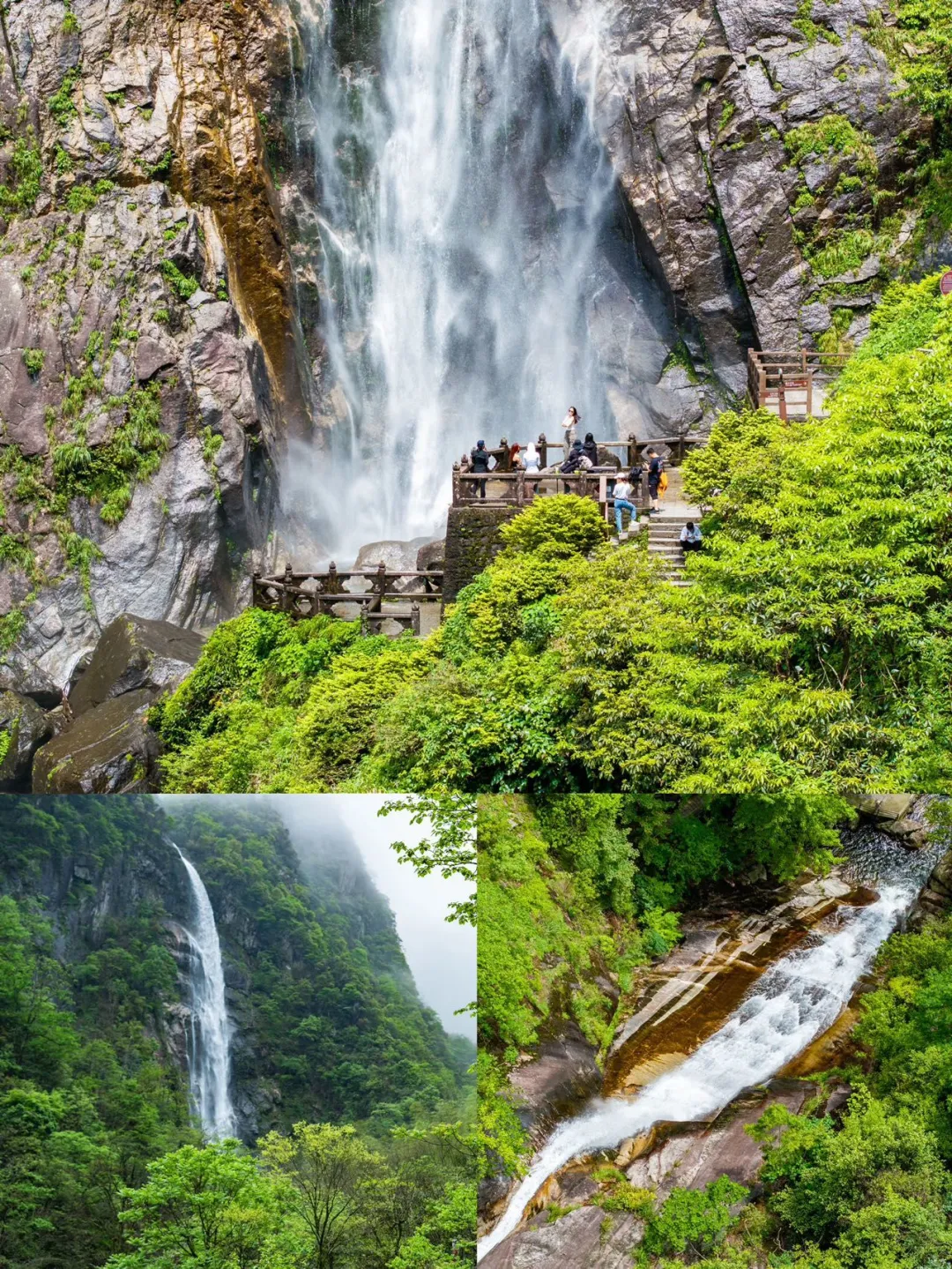 fa88fa6467a792083904f1941d932a0a-sz_738769