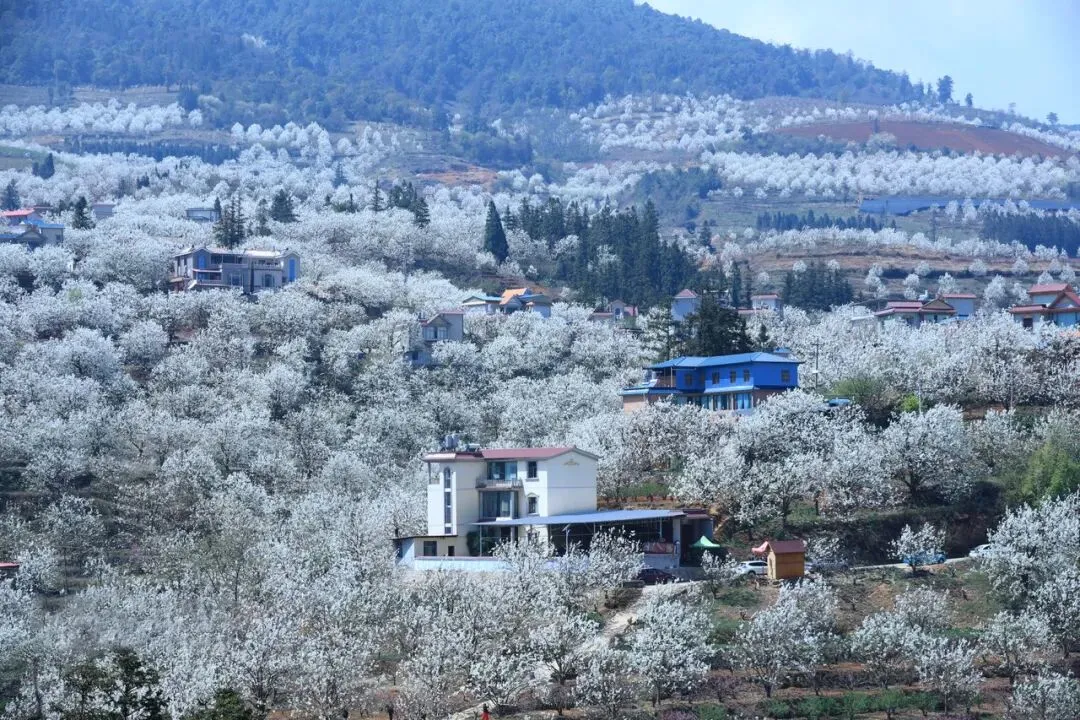 fa95ed9d819db5865fdad3a1a3f0629c-sz_234600