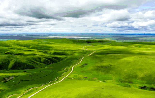 facc0b41af0b57fb23f9c6f5fe4ead06-sz_621227-1