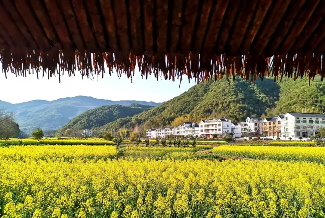 fb1ba43af97d445fb4aa696f64724456-sz_1233448-2