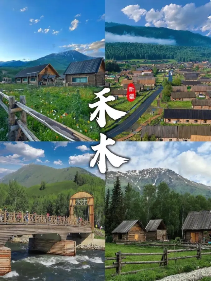 fb5c9be473bb9632a10dbc9841d7f995-sz_1128092