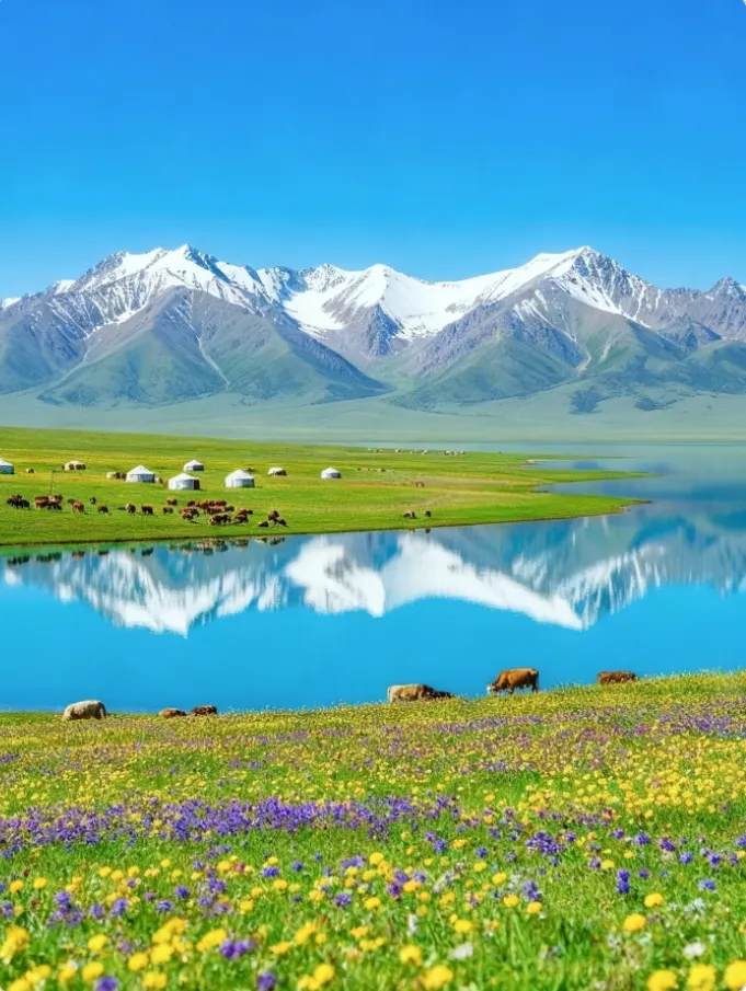 fc5b6813035c3ec37752b877fbe20538-sz_951028