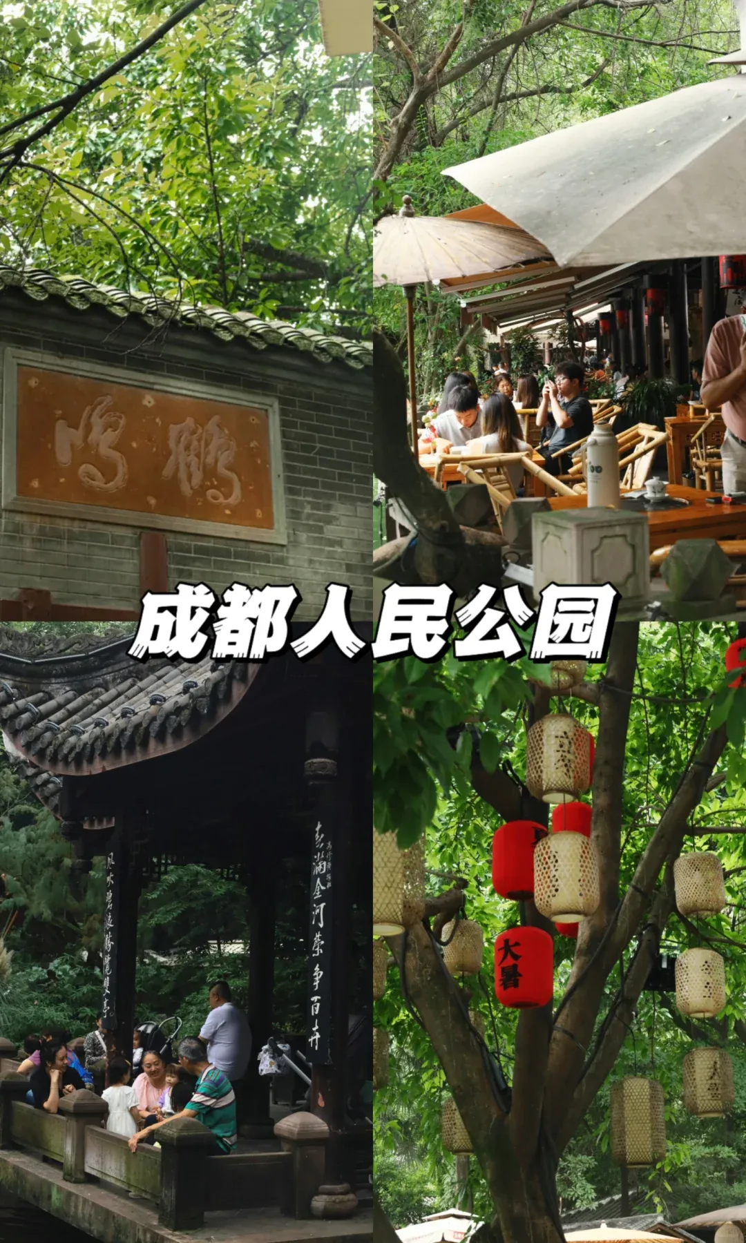 fc7706d64812b79cb05f3db6dfa75011-sz_3176101-1