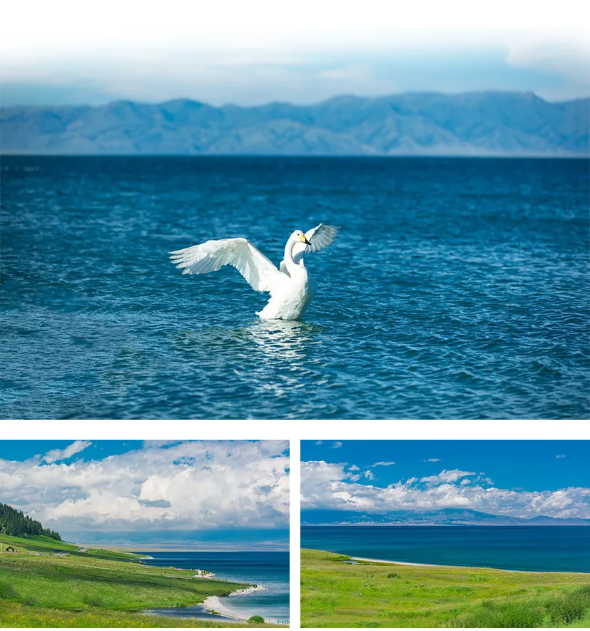 fc81a9eff9fb2303b568b2b7f8e328fe-sz_1078941