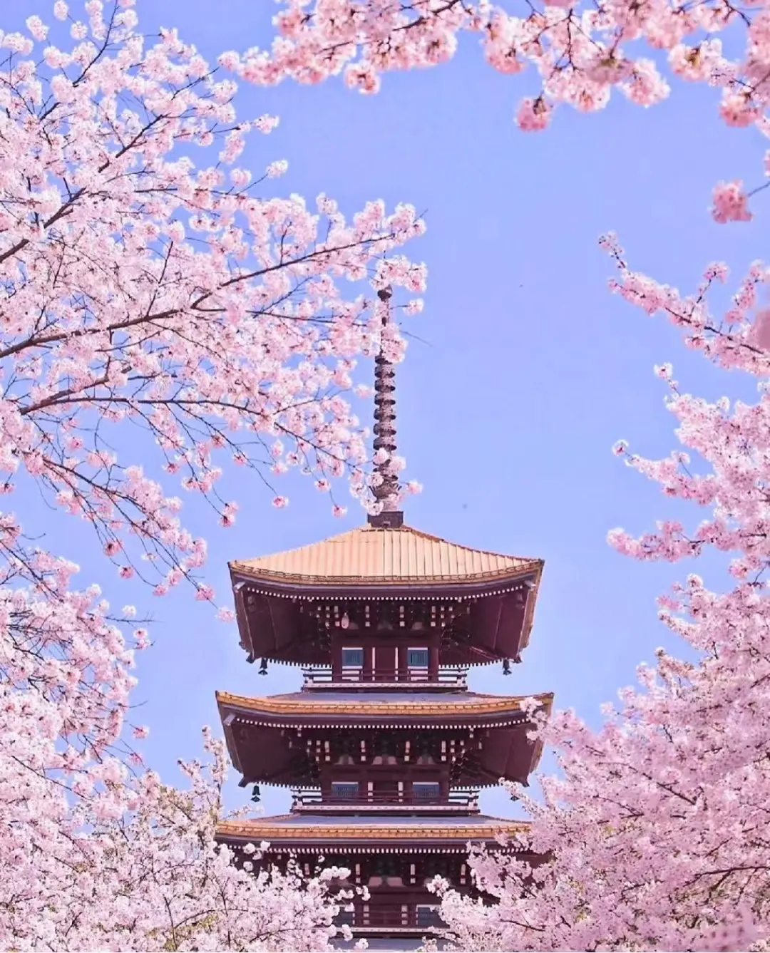 fcd9de24dd3b0b67a51aaa8a656cca27-sz_287012