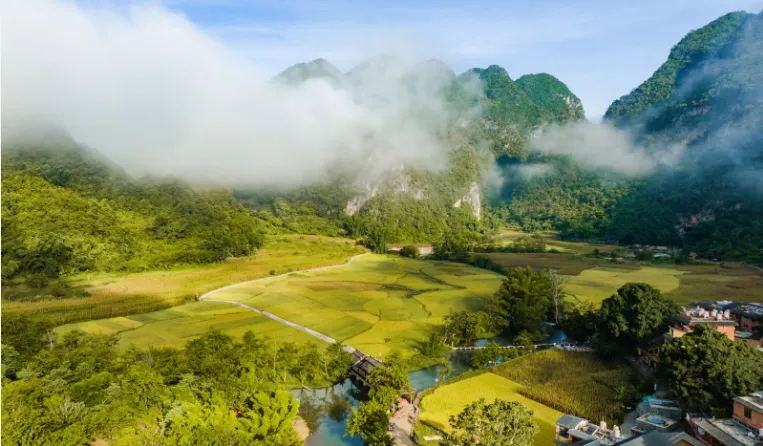 fd598699b3f5d84176693e95498311eb-sz_526118-1