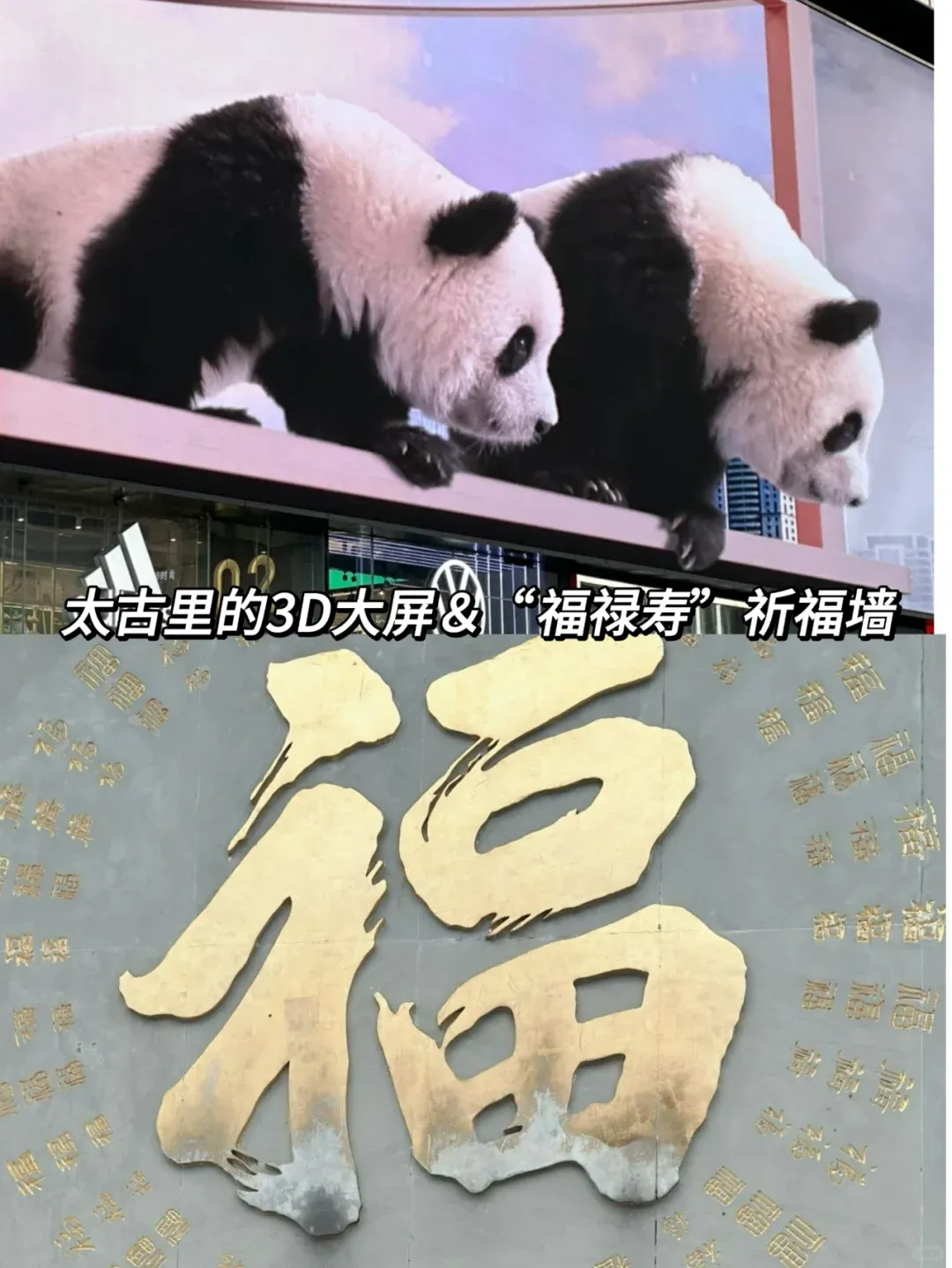 fd8892564e7fe1574c34a953846d5a0e-sz_1309387