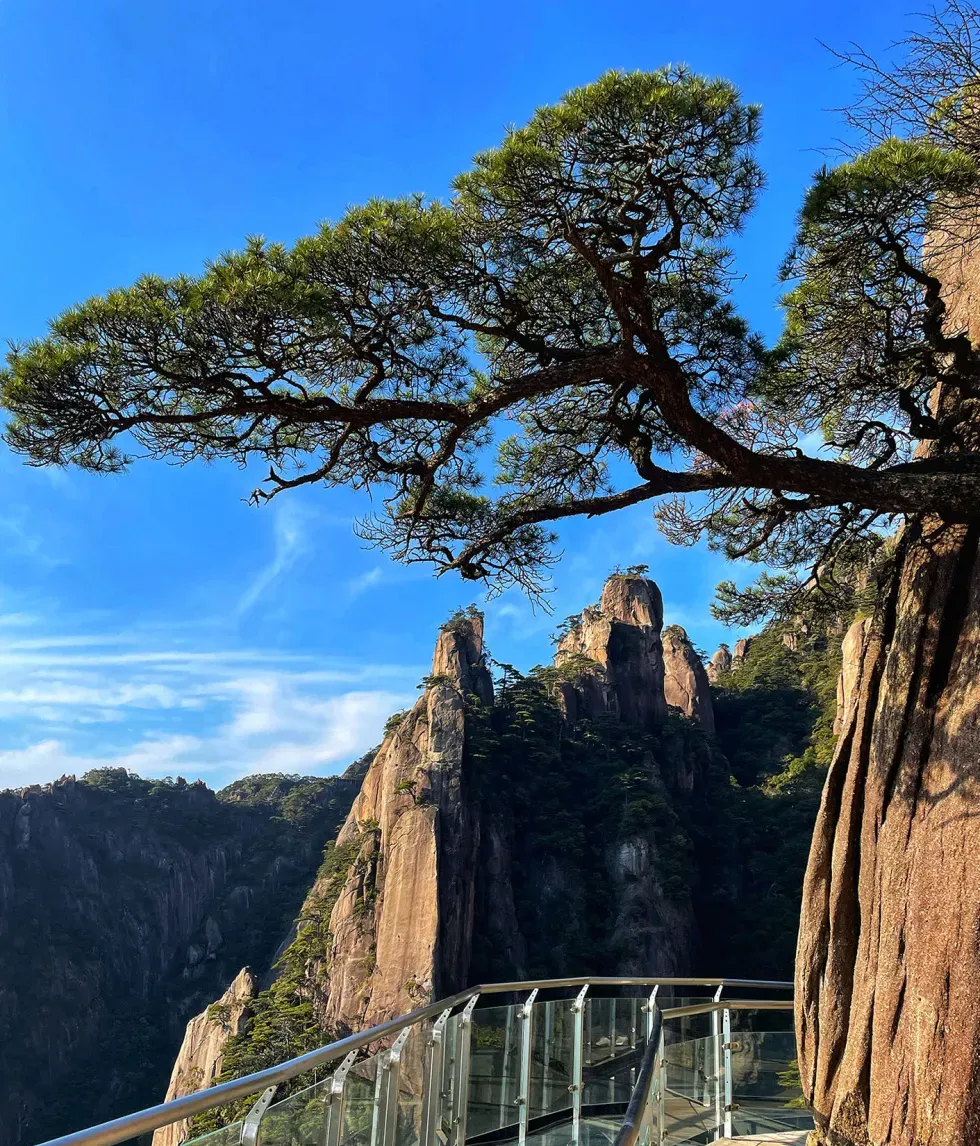 fde1ca2b9c33ed77f6079d7a23b3067b-sz_2912541