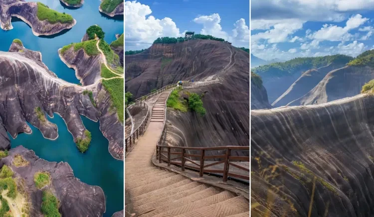 fe4e09a771a15b5a09f2ef904d367b47-sz_1118371