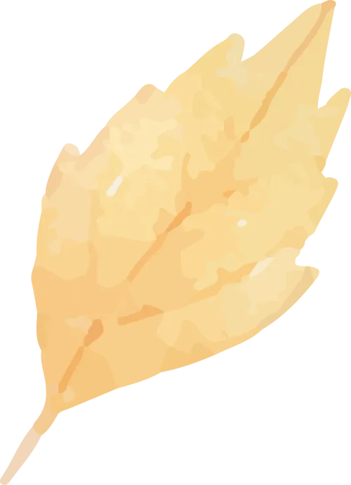 fe5996e59be170f86ac2591688ef458e_sz-60498-1