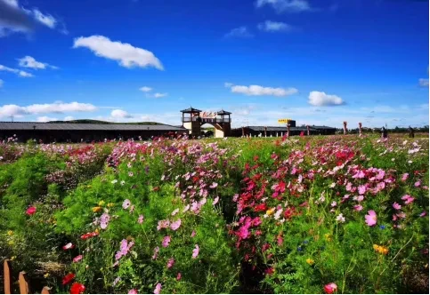 fea8dfe244011bd1a06b9222332e5451-sz_362839