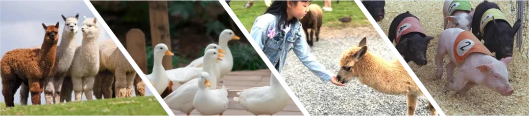 feb0e71e538a9a65f1dbac2f9504702b-sz_1363812 feb0e71e538a9a65f1dbac2f9504702b-sz_1363812