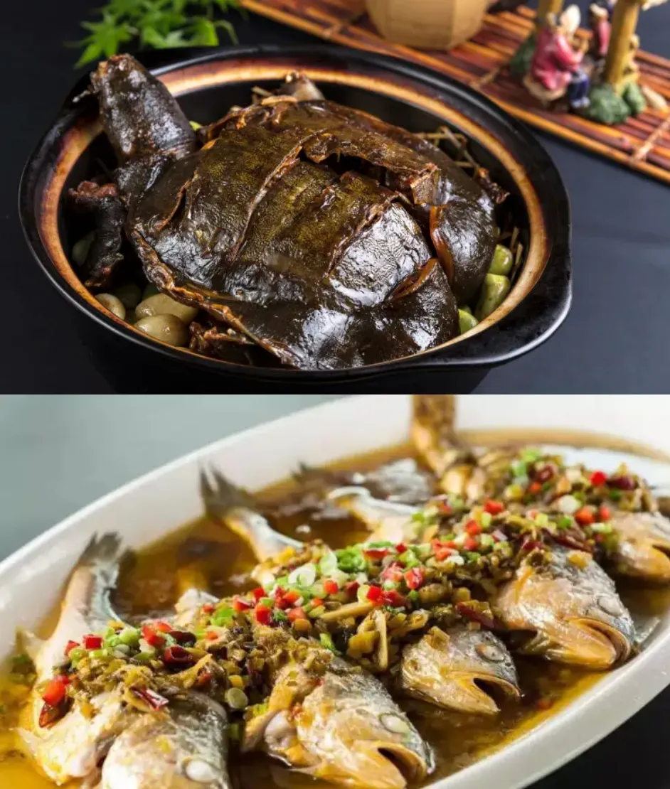 febc5fb9aadb4d8e9774c3e73ba5cd39-sz_1637668