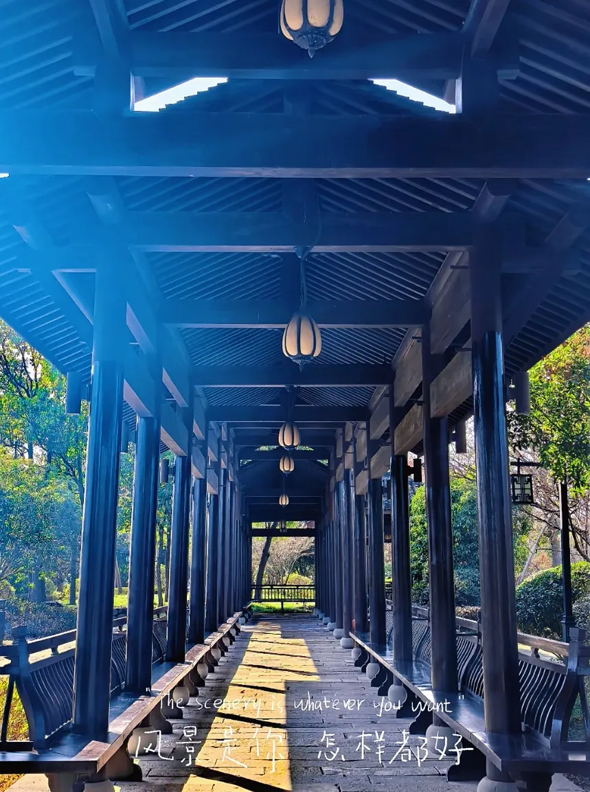 fee199be03fa1772e01a3d3fb04b1844-sz_742566