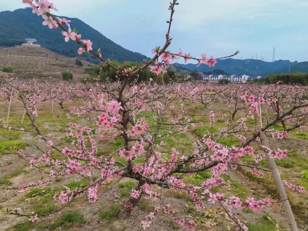 fee49bd9b688aa1b2139730cfd6fb91b-sz_189366