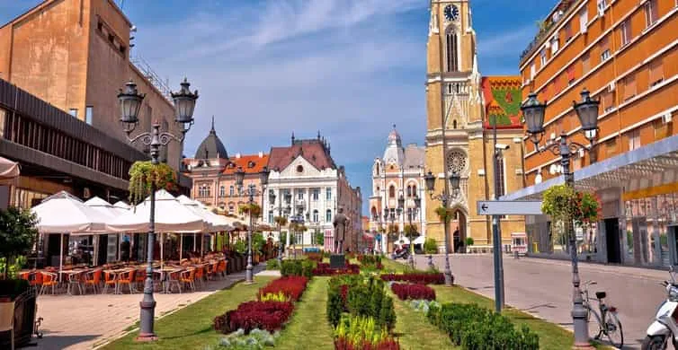 ff2dbab62bba1c0745cca235ba16ebb6-sz_41666