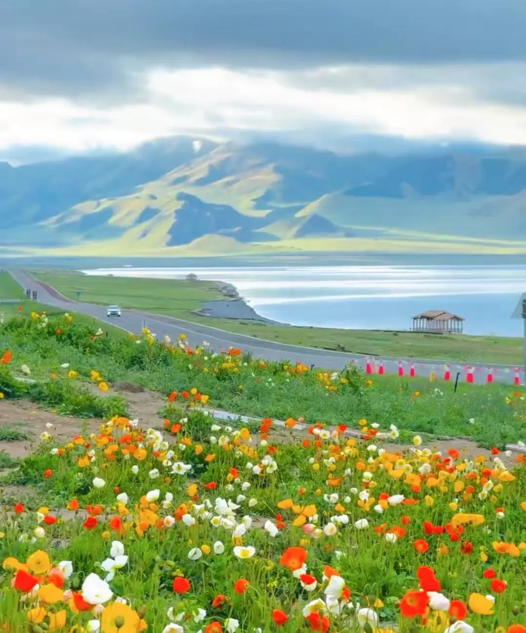 ff305fc4752d402dc6739901d59a2bb2-sz_176987-1