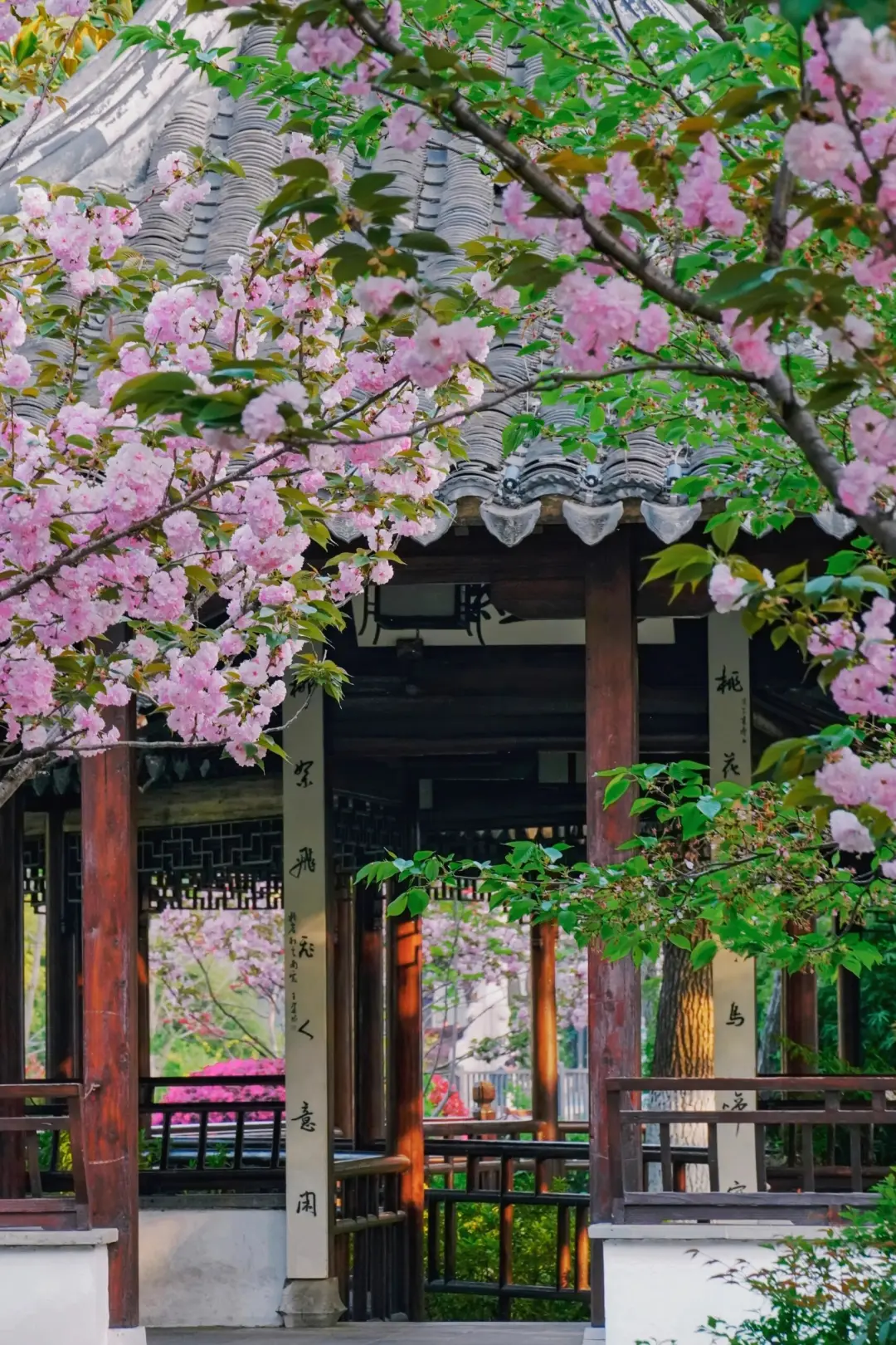 ff4338981096722e6886089511fc1461-sz_657657