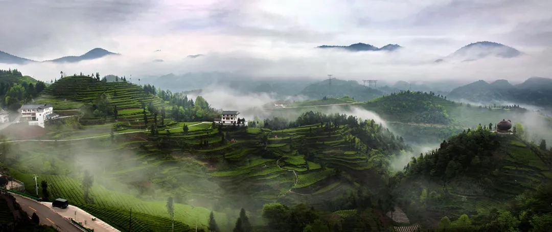 ffc0e1b1484dff3b37f5e1bcb38b77a1-sz_109317-2