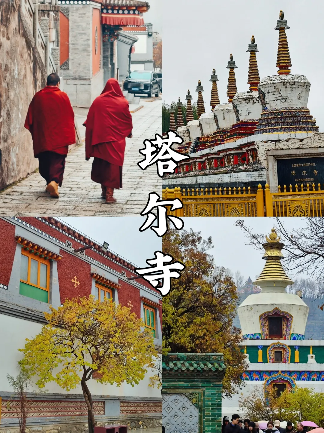 ffd15c02926f745d7e3f7ef44cc90b94-sz_1386899