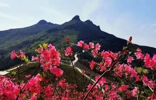 ffd23272b7bb79417b3d6b3fb225bec1-sz_374089