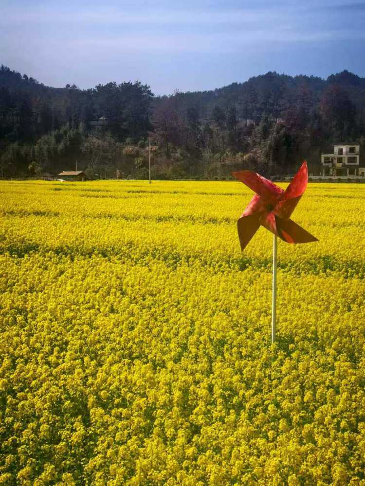 hi1IjifGfqmItaIccAKowAukbfbVNZK6