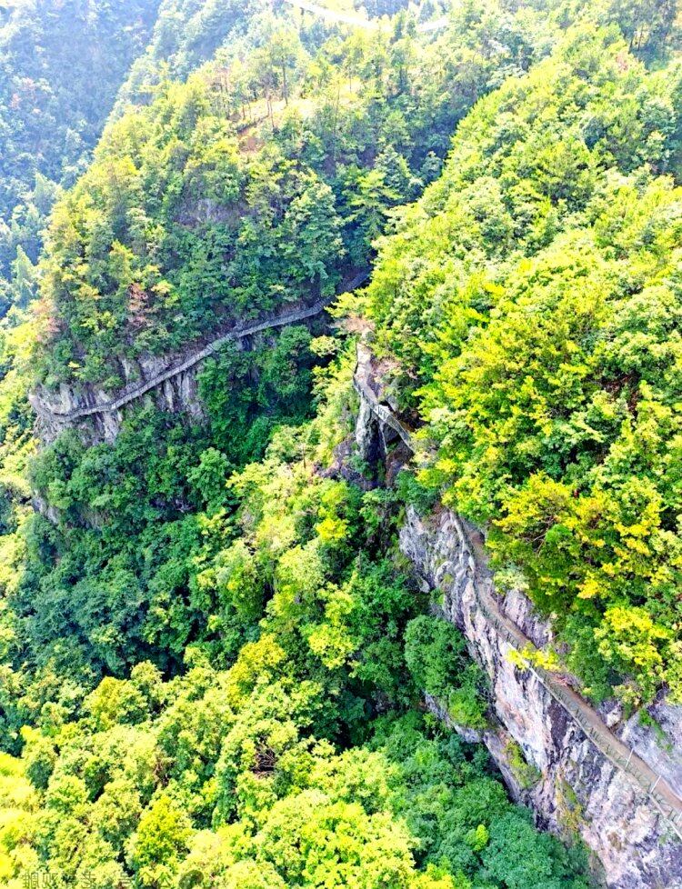 499浙中磐安四日游·入住高档酒店，报名就吃牛蛙宴十甲鱼煲·送网红景点大门票，送三早七正，棋牌，kTV免费纯玩·保证百分百纯玩！！