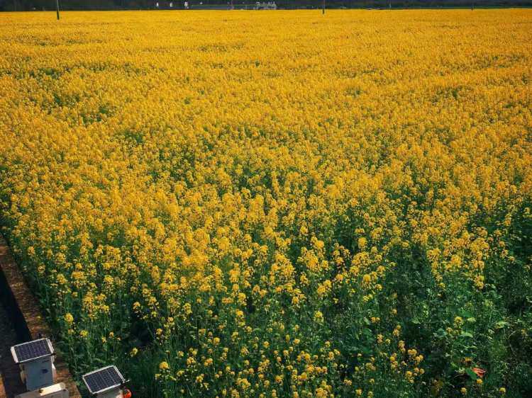 tmlPKb9YnrgWX93eMAWb5vrC-L5G4ZHD