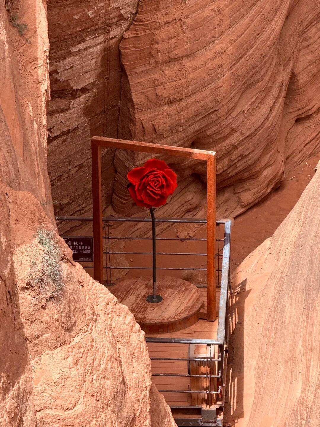 00000000ALojIXeeJLjrnMZk