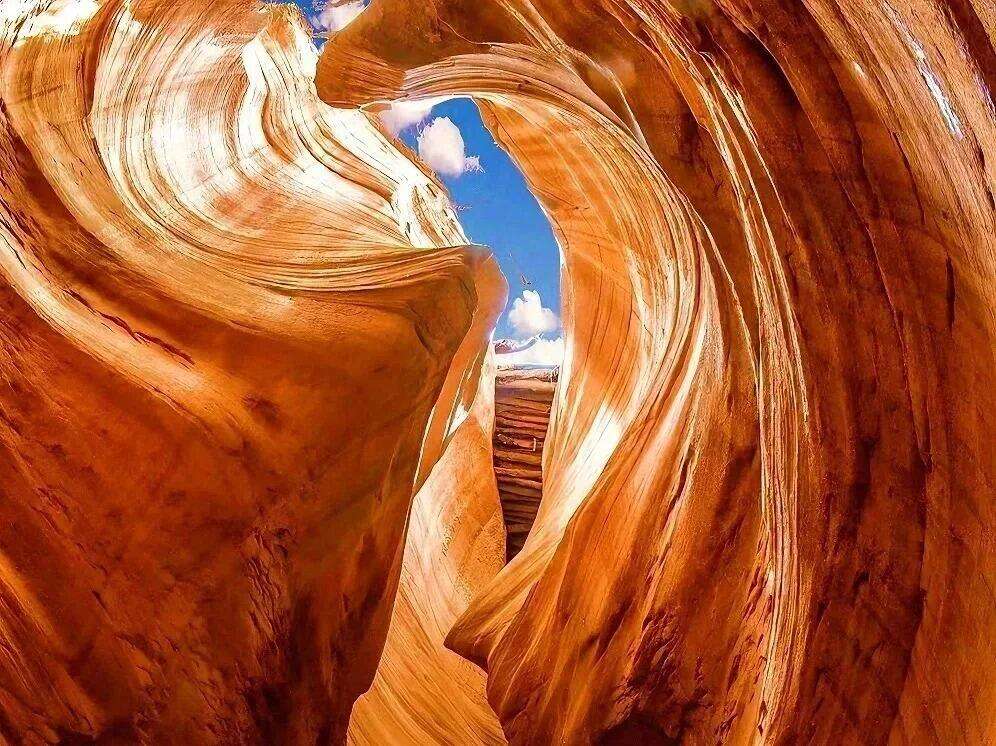 00000000CBwvxZpRenqpKMzS