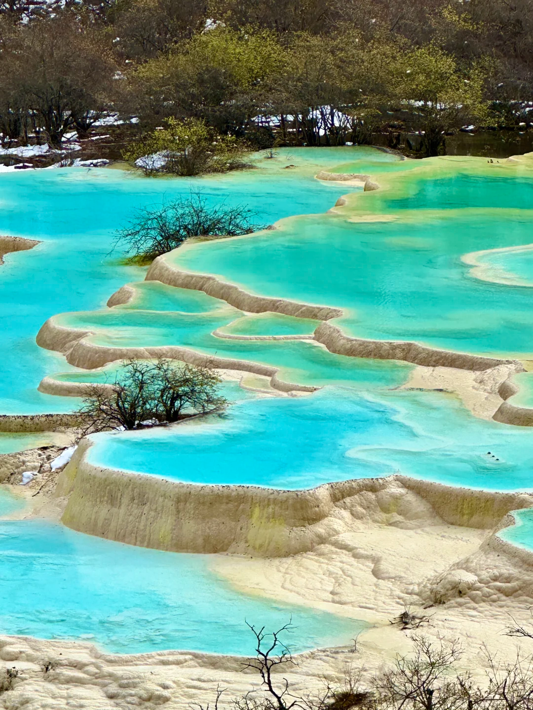 00000000CkKgSyxsjQVQYRkK