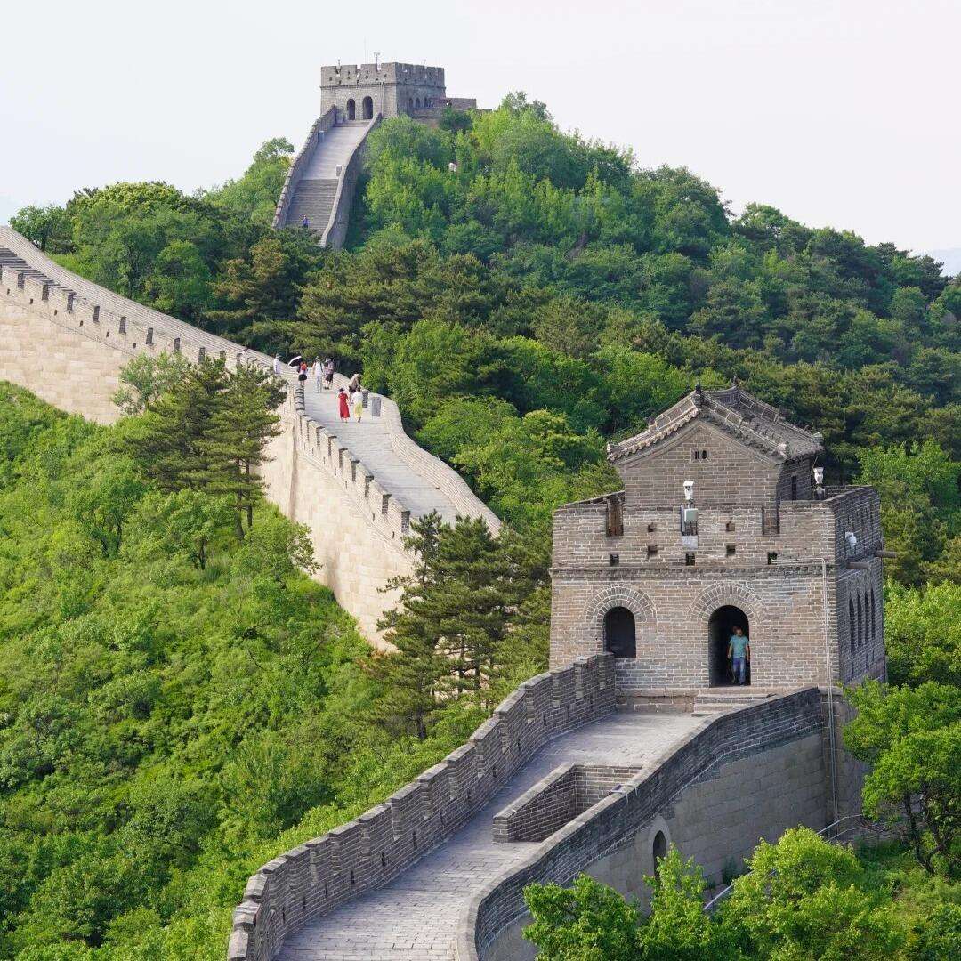 00000000HyYLcOImTrOBwZTo