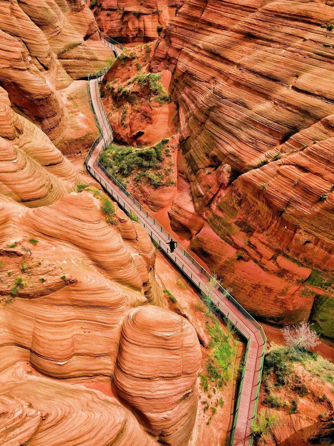 00000000ImtcsRZWovnurxEv