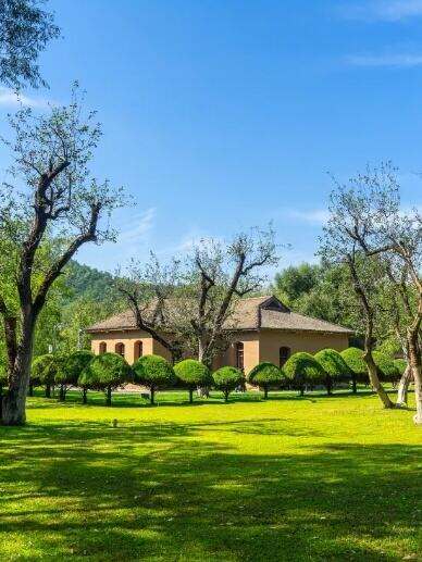 00000000JObnfEgWpwfTXqpO