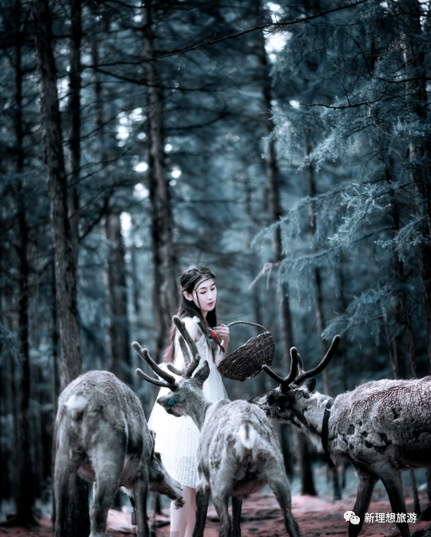 00000000KHxQYcTTHfNIRtmx