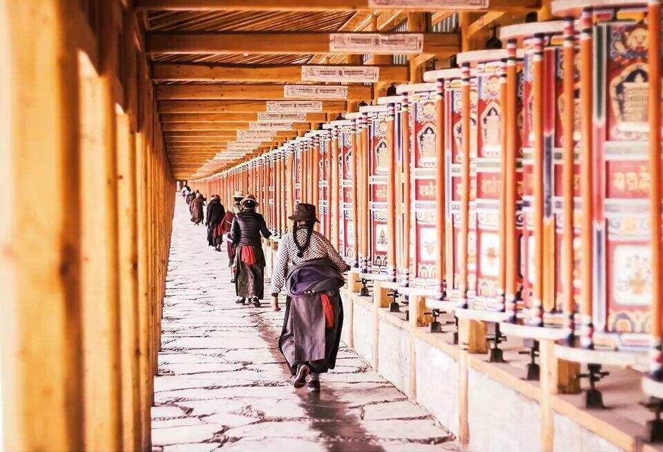 00000000LwZTCUnydCmQvXrO