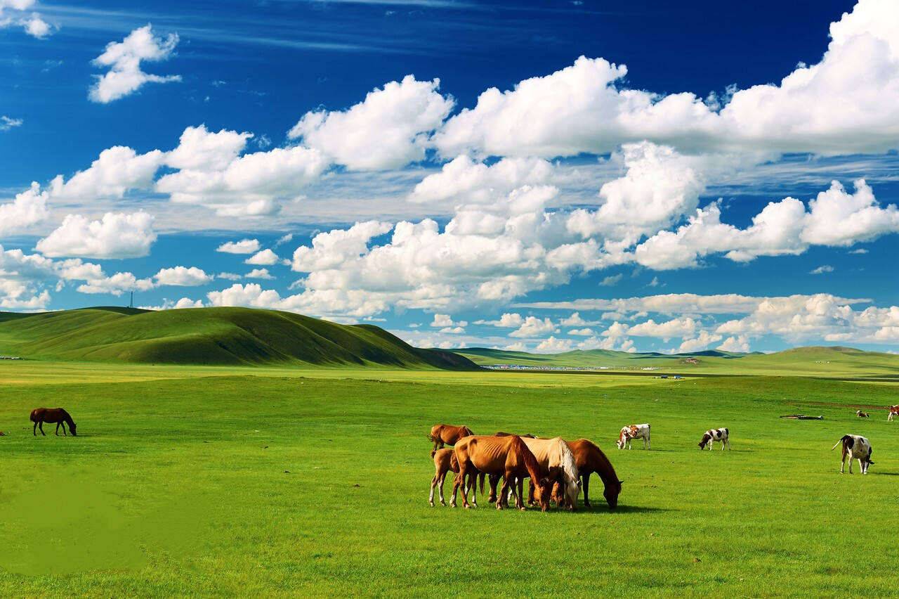 00000000OZbPGMpeJwOpvHqf