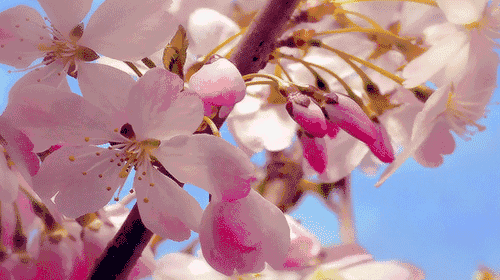 00000000QCDkignqShTiKEYW