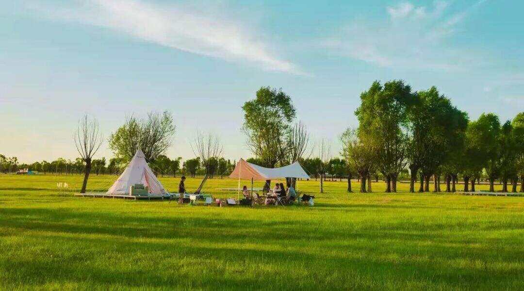 00000000RhaVqEXtyDDWkUxM